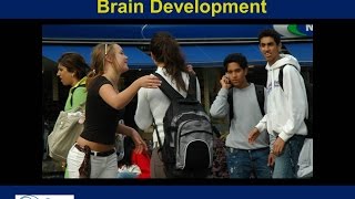 The Ins and Outs of Adolescent Brain Development
