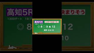 2月2日(日)高知競馬全レース予想🥳⭐️#競馬 #競馬予想 #予想 #馬 #地方競馬  #地方競馬予想 #高知競馬