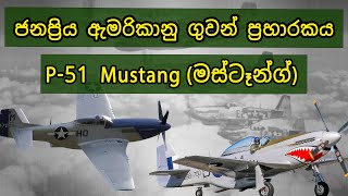 ජනප්‍රිය ඇමරිකානු ගුවන් ප්‍රහාරකය P-51 Mustang #mustang #usa #fighterplane #ww2 #usaf