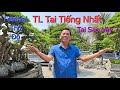 ANH THÙY HP CS & nhìn nhận về FESTIVAL THỦ ĐÔ * TL TAI TIẾNG NHẤT * BTC cần RÚT KINH NGHIÊM SÂU SẮC.