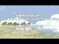 【心愿便利贴 sticky note wishes】~pinyin lyrics~ 王欣宇 zoe wang