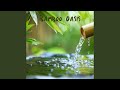 Harmonic Waters