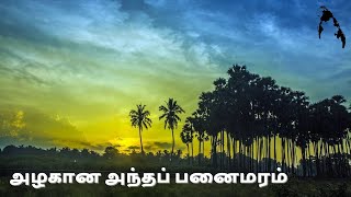 Alakana Antha Panai Maram | அழகான அந்த பனை மரம் | Eelam Song - ஈழப் பாடல்