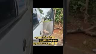 ആളിഴിഞ്ഞ ഒരു സ്ഥലത്ത് ഒന്ന് മുള്ളാൻ പോലും സമ്മതിക്കില്ലല്ലോ ഇവന്മാർ 😂#funny  #viralvideo #animals