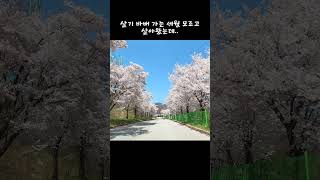 윤정아 노래모음 - 언제벌써