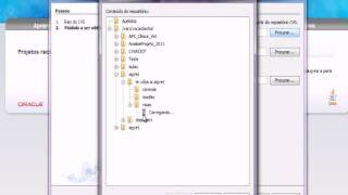 netbeans_cvs.avi