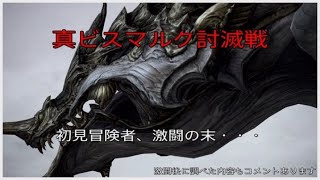 [初見] FF14 真ビスマルク討滅戦                    ぴよぴよ冒険者の奮闘記