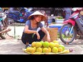 FRUIT harvesting - farm life, Gardening, nurturing | Miyu Nguyen's daily life