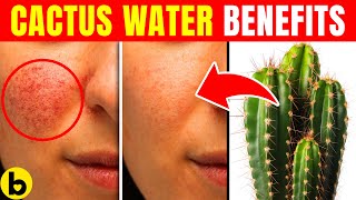 7 Surprising Health Benefits Of Cactus Water
