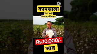 कापसाला येत्या काही दिवसातच Rs.10,000/- भाव #indian #famous #farmer #viral