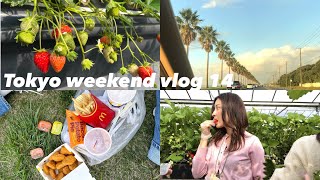 【vlog】Tokyo weekend vlog vol.14/イチゴ狩りしてピクニックしてhappyな日/strawberry picking, picnic