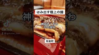 有楽町グルメ【はみ出す極上の鰻】神田きくかわ日比谷店#shorts