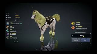 黑色沙漠Mobile 沙漠幻想馬  迪納 老婆金手指加持 Black Desert Mobile #검은사막m #黒い砂漠MOBILE