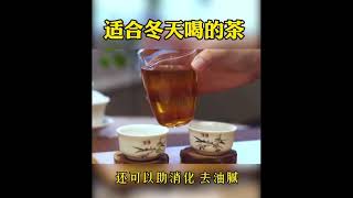 普洱茶|直播|2021新茶|綠茶|紅茶|茶葉批發|烏龍茶|班章|冰島|鐵觀音蘇蘇茶莊，冬天適合喝什麽茶你知道嗎？