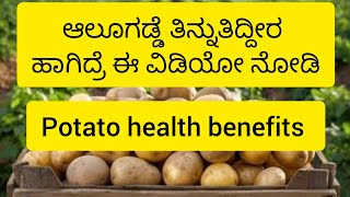 ಆಲೂಗಡ್ಡೆ ತಿನ್ನುತಿದ್ದೀರ ಹಾಗಿದ್ರೆ ಈ ವಿಡಿಯೋ ನೋಡಿ//potato health benefits#kannada#food