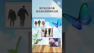 为什么今天的生活是这样的？#shorts