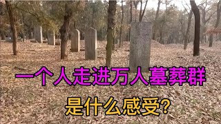 实拍山东曲阜孔林，一个人走进万人墓葬群，吓的头皮发麻