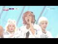 bulldok why not 161102