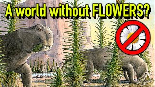 How Plants Evolved: A Complete Guide