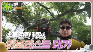 대가의 일급정보 : 수목 관리 15년, 아보리스트 대가 [2TV 생생정보] | KBS 240506 방송