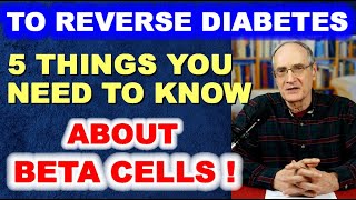 To Reverse Diabetes: 5 Things You Need to Know About Beta Cells!