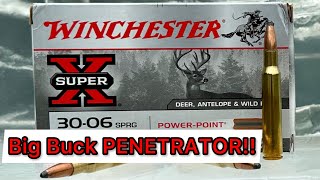 30-06 Winchester Super-X 165 grain Power Point Ammo Review \u0026 Ballistics Gel Test: Great Deer Ammo?