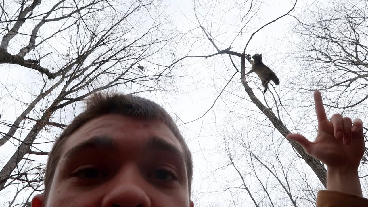 Trapping Gone Wrong Youtube