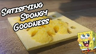 A more satisfying dried sponge absorbs water.