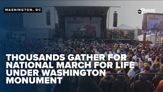 WATCH: Anti-abortion activists gather in D.C. for annual National March for Life