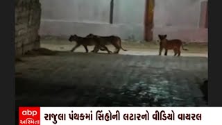 Amreli: રાજુલામાં કોવાયાની બજારમાં સિંહ પરિવારની લટાર