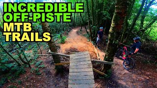 DISCOVERING SECRET MTB TRAILS IN THE WOODS