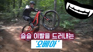 eMTB 춘추전국시대_신흥세력 등장 !! | 오베아 WILD FS