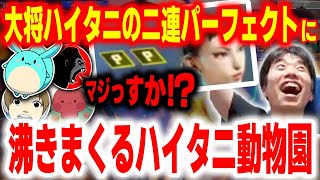 【スト6】年末イベント初戦から大将がWパーフェクト勝利を決めて大盛り上がりのハイタニ動物園【おおえのたかゆき/すもも/りんごもちぃ/しんじさん/ハイタニ】