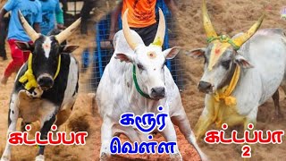 மூன்று சிங்கங்கள் கரூர் வெள்ளை கட்டப்பா கட்டப்பா 2😍😍||karur vellai 🔥🔥||kattappa||jallikkattu