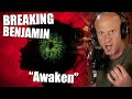 New HEAVY Breaking Benjamin! Vocal ANALYSIS of 