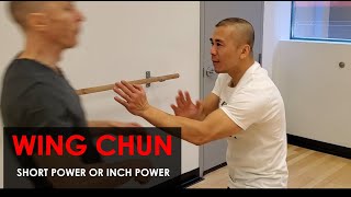 "Inch Power " Short work - Wing Chun, Kung Fu Report - Adam Chan