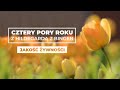 Jakość żywności || Cztery pory roku ze św. Hildegardą #26