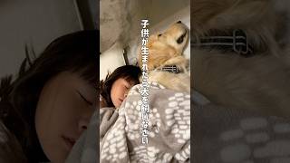 愛犬から学ぶ事は星の数ほどある#ゴールデンレトリバーのいる暮らし #ゴールデンレトリバー #大型犬との暮らし #大型犬と子供