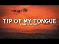 Download Kenny Chesney Tip Of My Tongue mp3