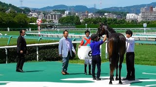 ジャンダルムと武豊、新馬戦の口取り式。現地映像、阪神競馬場