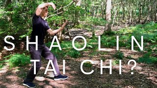 RARE Shaolin Tai Chi? What is Shuang Yang?