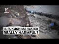 Japan Pumps Out Treated Fukushima Nuclear Waste Water, Is It Really Harmful? | Firstpost Earth