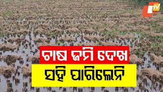 Farmer Kills Self Over Crop Loss in Berhampur