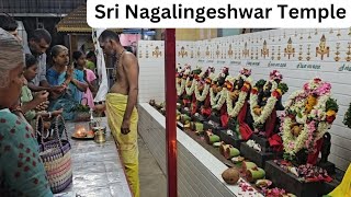 Sri Nagalingeshwar \u0026 Kala Bairavar Temple🙏🏻 | Alangombu