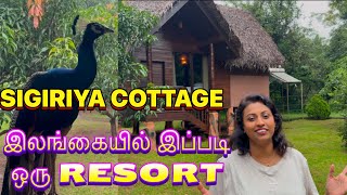 SIGIRIYA WATER COTTAGE | TAMIL VLOG | SRILANKA VLOG | KAMS VIEW