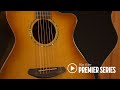 BREEDLOVE PREMIER SERIES ACOUSTIC GUITARS