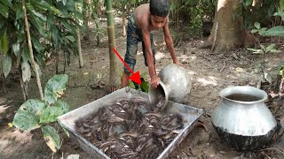 Amazing Boy catching big fish in village ⏩ Small Boy hand fishing EP 2 ⏩ Fishing Angel