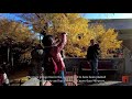 【4k】virtual tour the dajue temple the autumnal liao dynasty ginkgo tree king 北京西山大覺寺（eng sub）