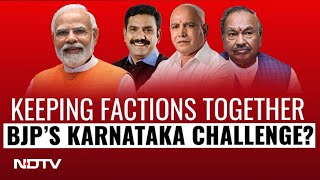 Lok Sabha Elections | NDTV Explains: Will BJP's Karnataka Ticket Strategy Work? | The Southern View