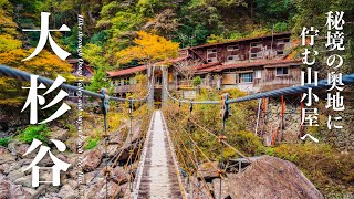 紅葉の大杉谷。1泊2日で秘境の奥地に佇む桃の木小屋へ。